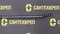 Трос канализационный пружинонавитой  Сантехкреп диаметр 6 мм.Длина 1.5 метра 1.2.9.